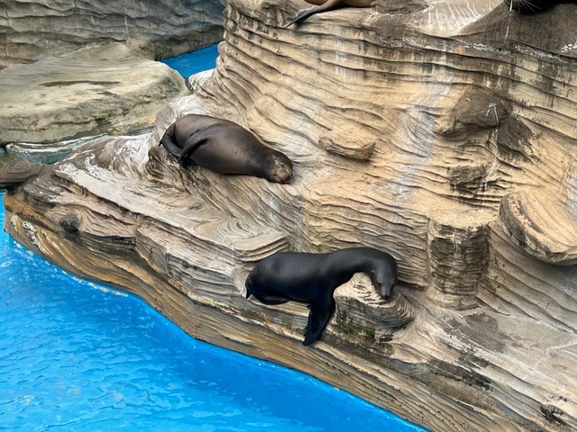 施設写真372