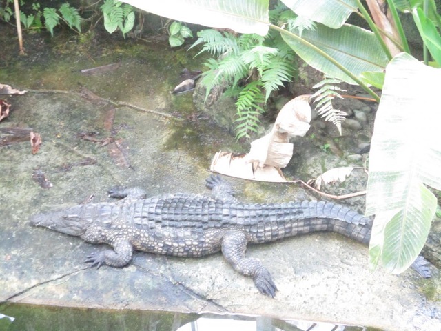 施設写真351