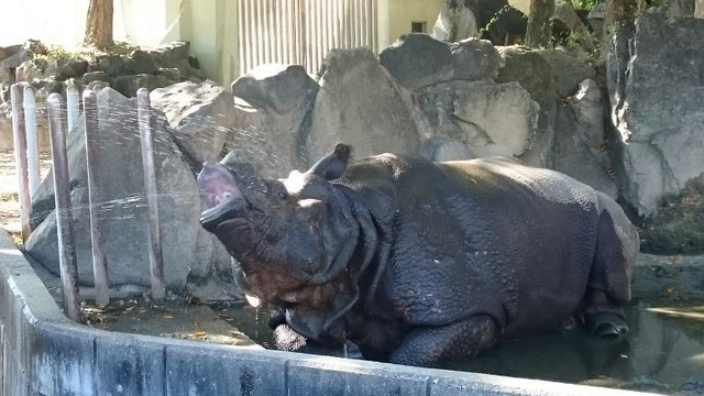 施設写真1164