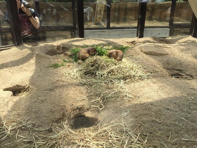 施設写真1059