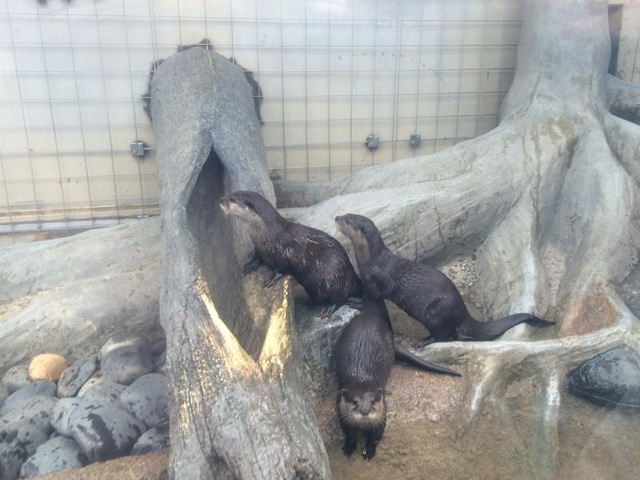 施設写真1058
