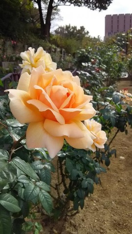 施設写真1188