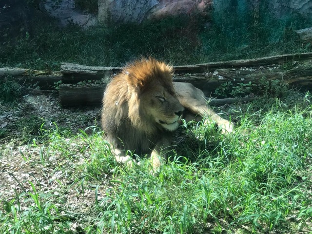 施設写真694