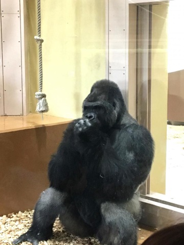 施設写真702