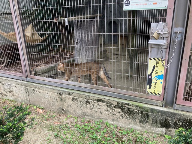 施設写真109