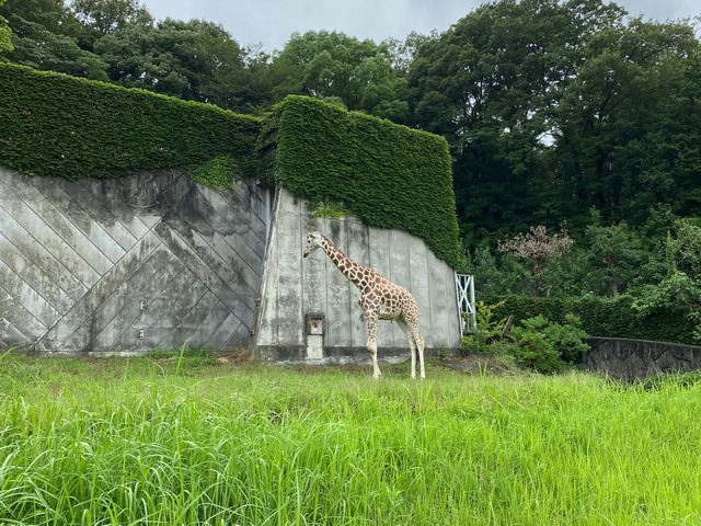 施設写真441
