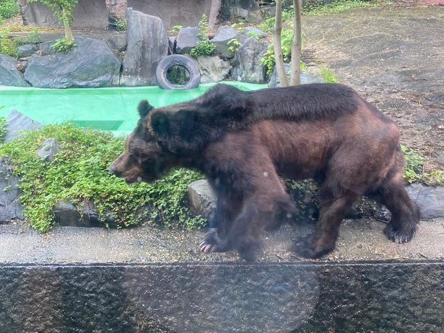 施設写真438