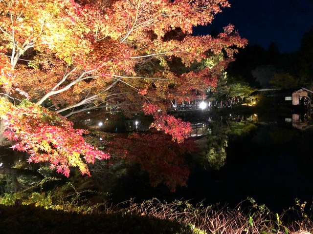 施設写真531