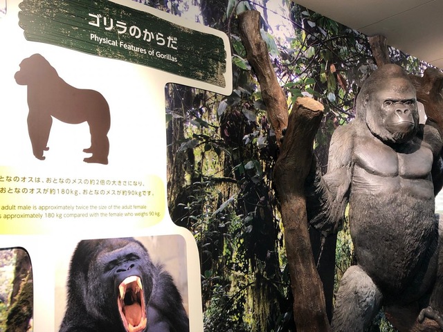 施設写真449