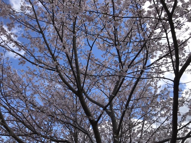 施設写真472