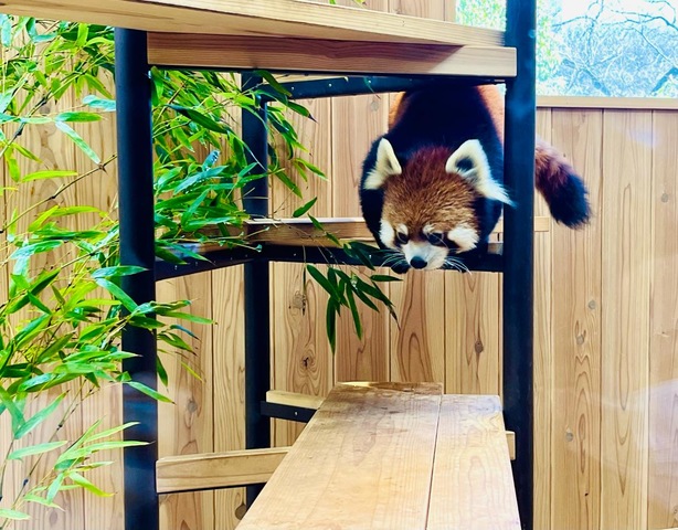 施設写真176