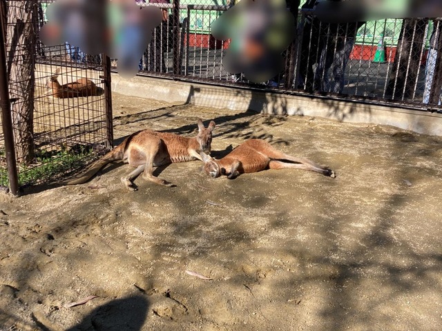 施設写真161