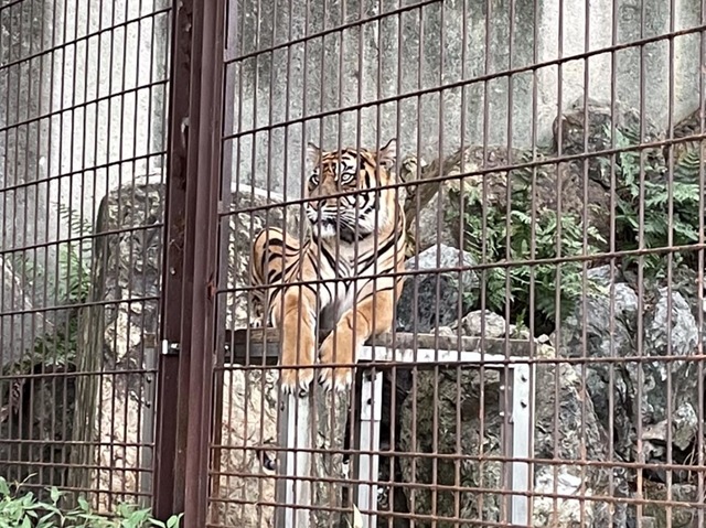 施設写真288