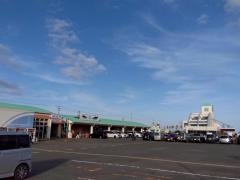御前崎海鮮なぶら市場食堂海鮮