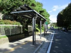 「東北大川内キャンパス・萩ホール前」バス停留所