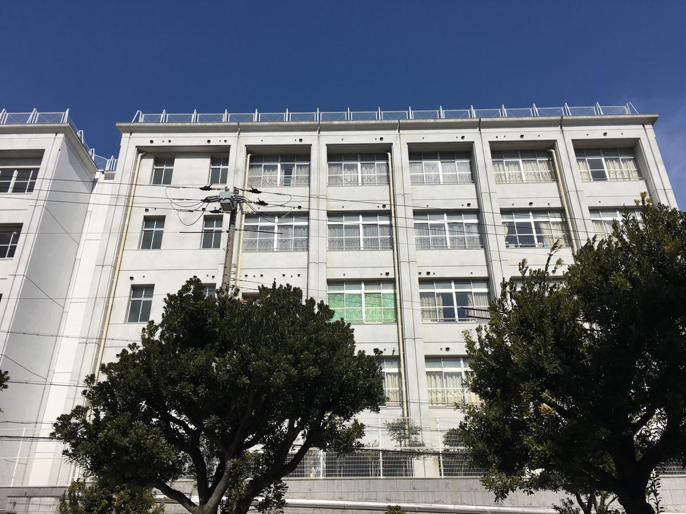 真田 山 小学校