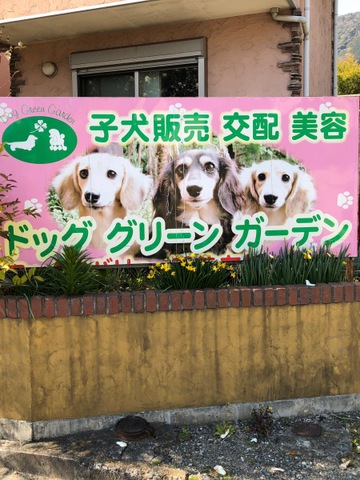 投稿写真1