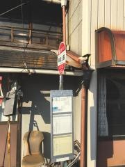 「陶祖公園」バス停留所