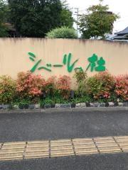 シベールの杜　富沢店