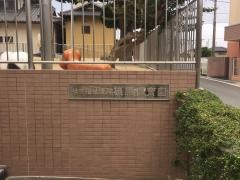 磯原保育園