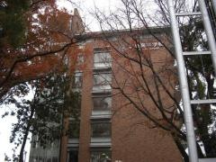 錦城高等学校