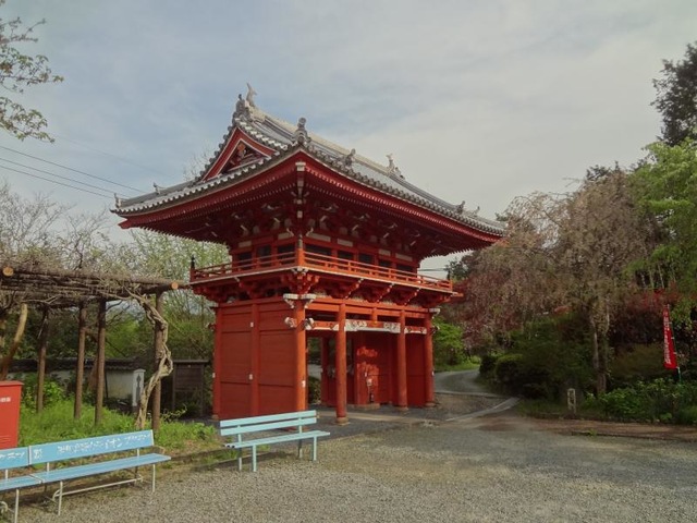 投稿写真4