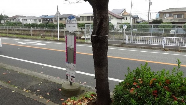 投稿写真8