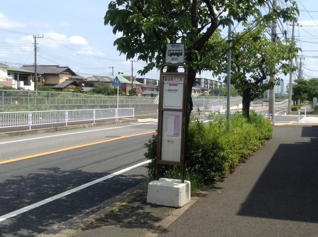 投稿写真7
