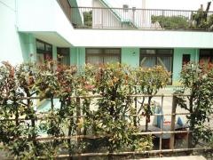 小光子愛育園