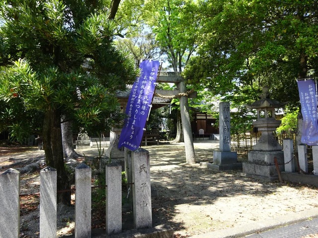 投稿写真7