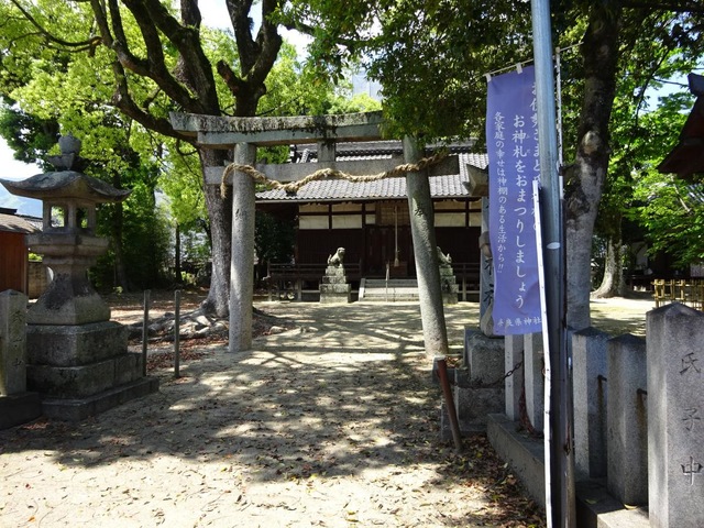 投稿写真6
