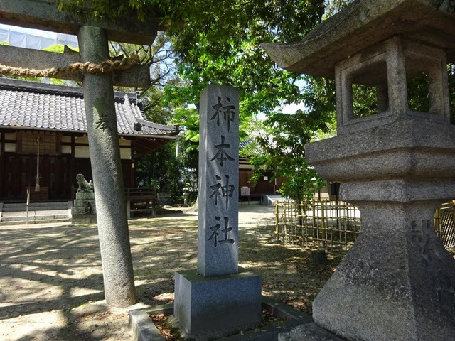 投稿写真5