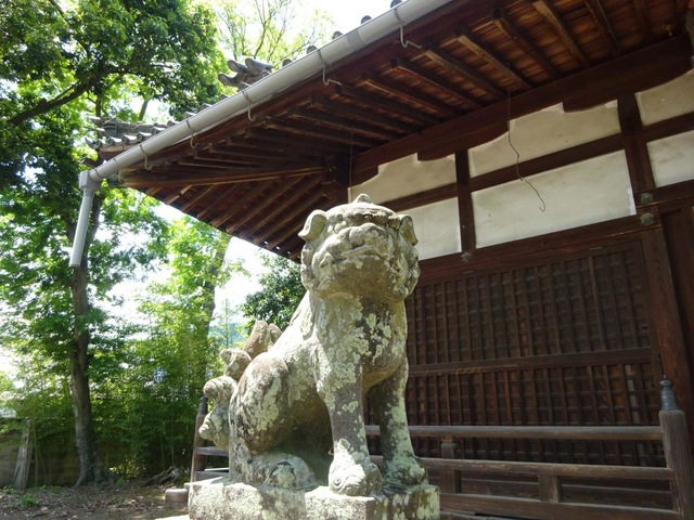 投稿写真2
