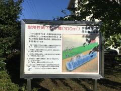 秋津中央公園