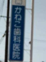 かねこ歯科医院