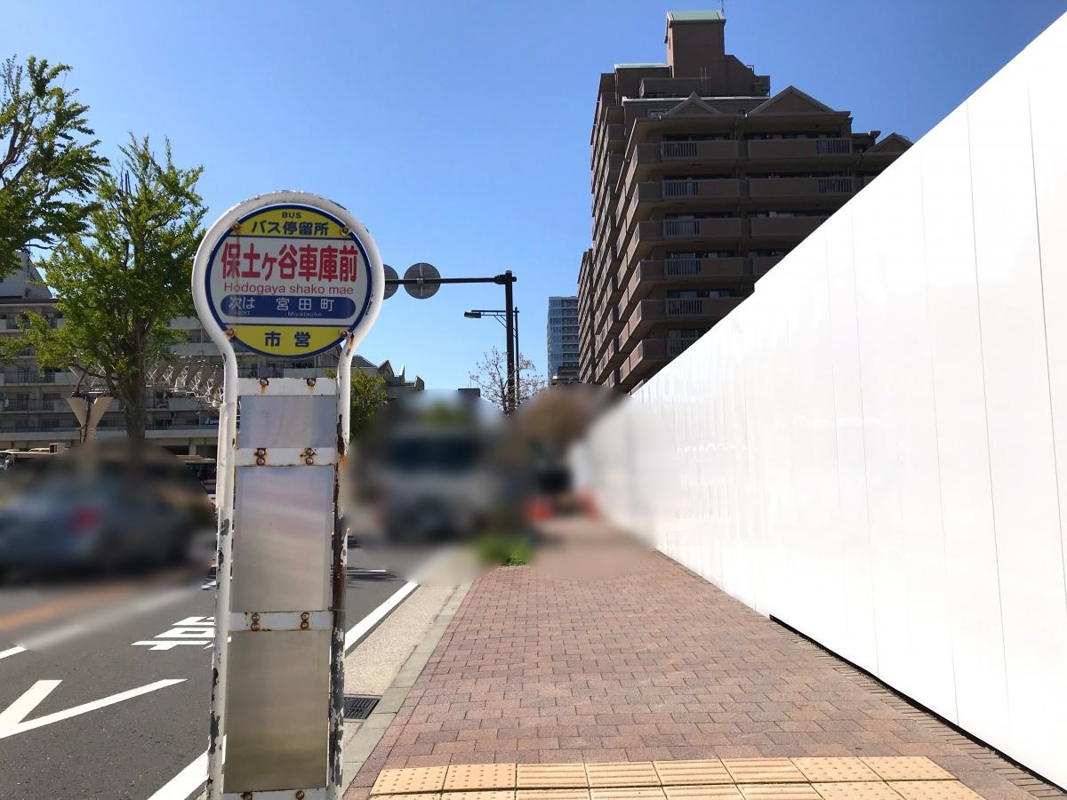 全体
