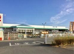 コメリハード＆グリーン　友部店