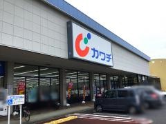 カワチ薬品　真鍋店