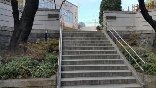 専修幼稚園