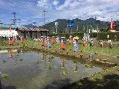 御田植祭