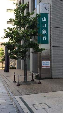 投稿写真7