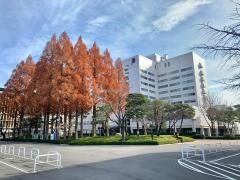 獨協大学大学院