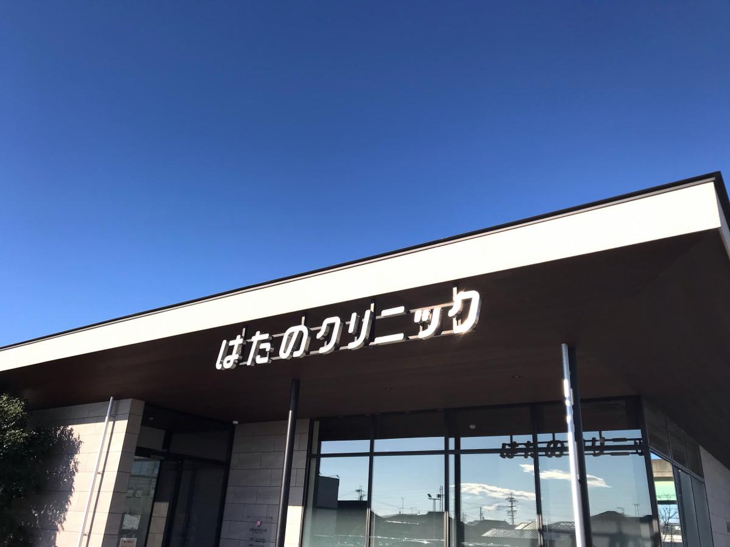 は た の クリニック