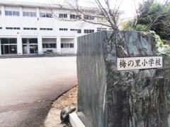 梅の里小学校