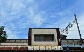 鈴木書店