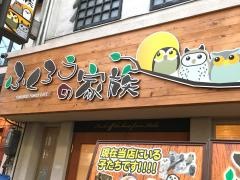 ふくろうの家族