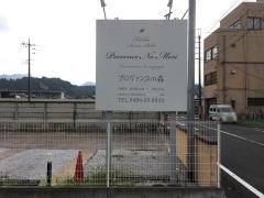 プロヴァンスの森