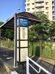 「星槎中学高校前」バス停留所