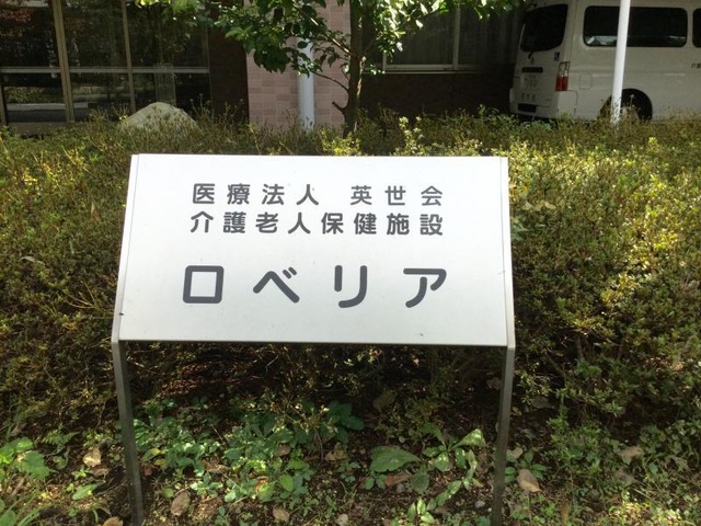 ロベリア