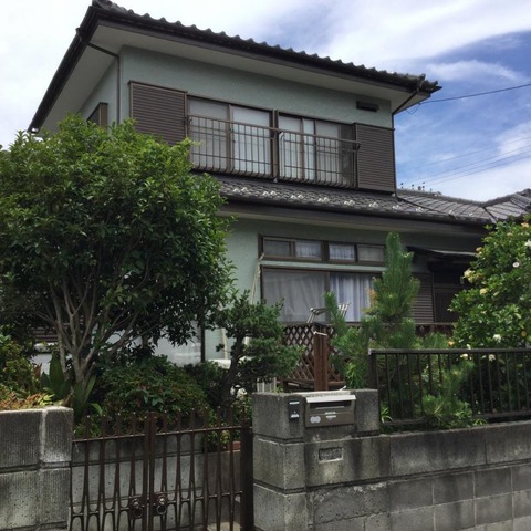グリーンペペ
